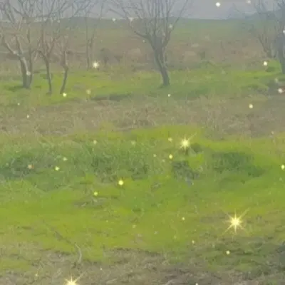 زمین کارگاهی