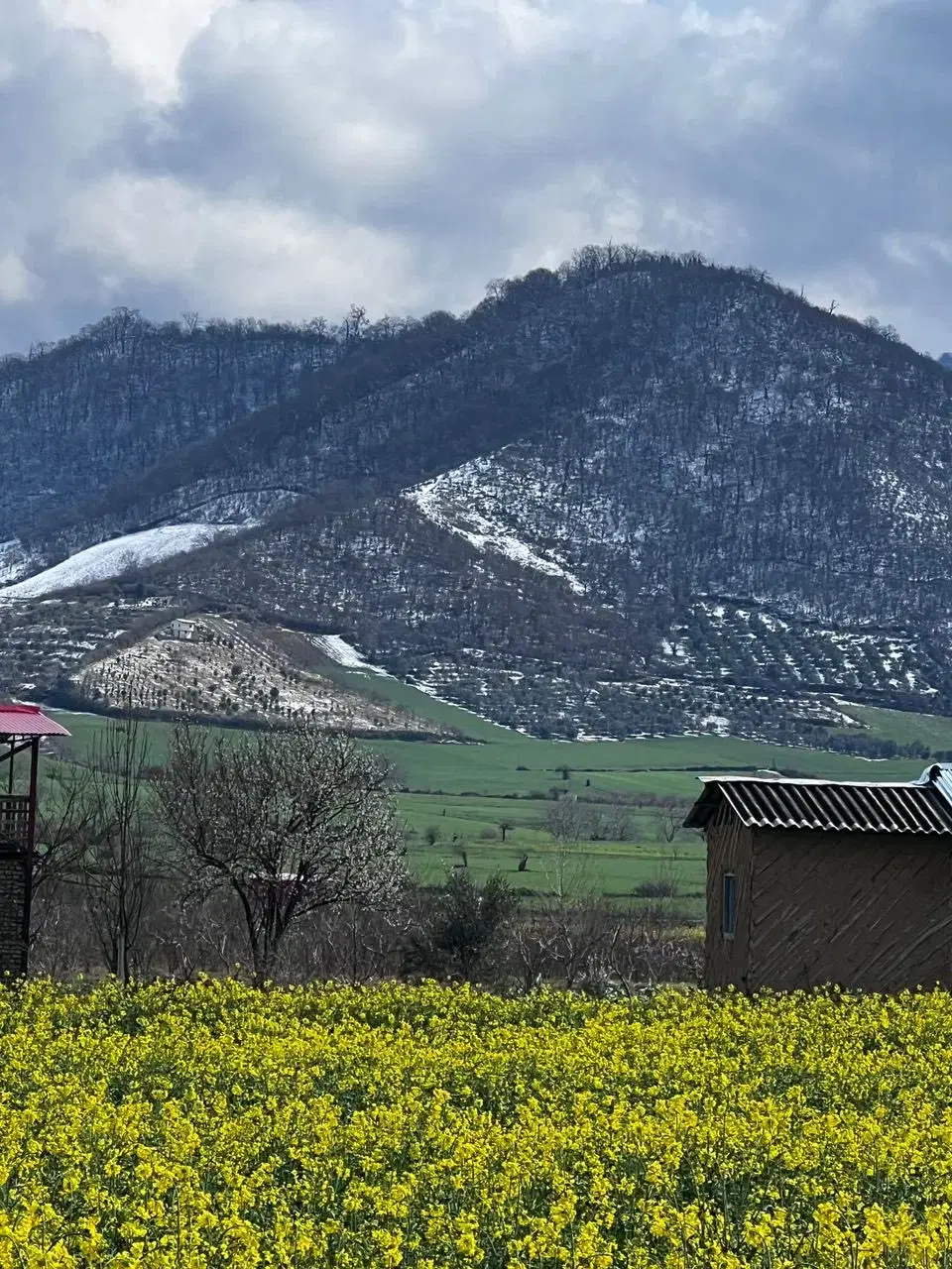 زمین باغی