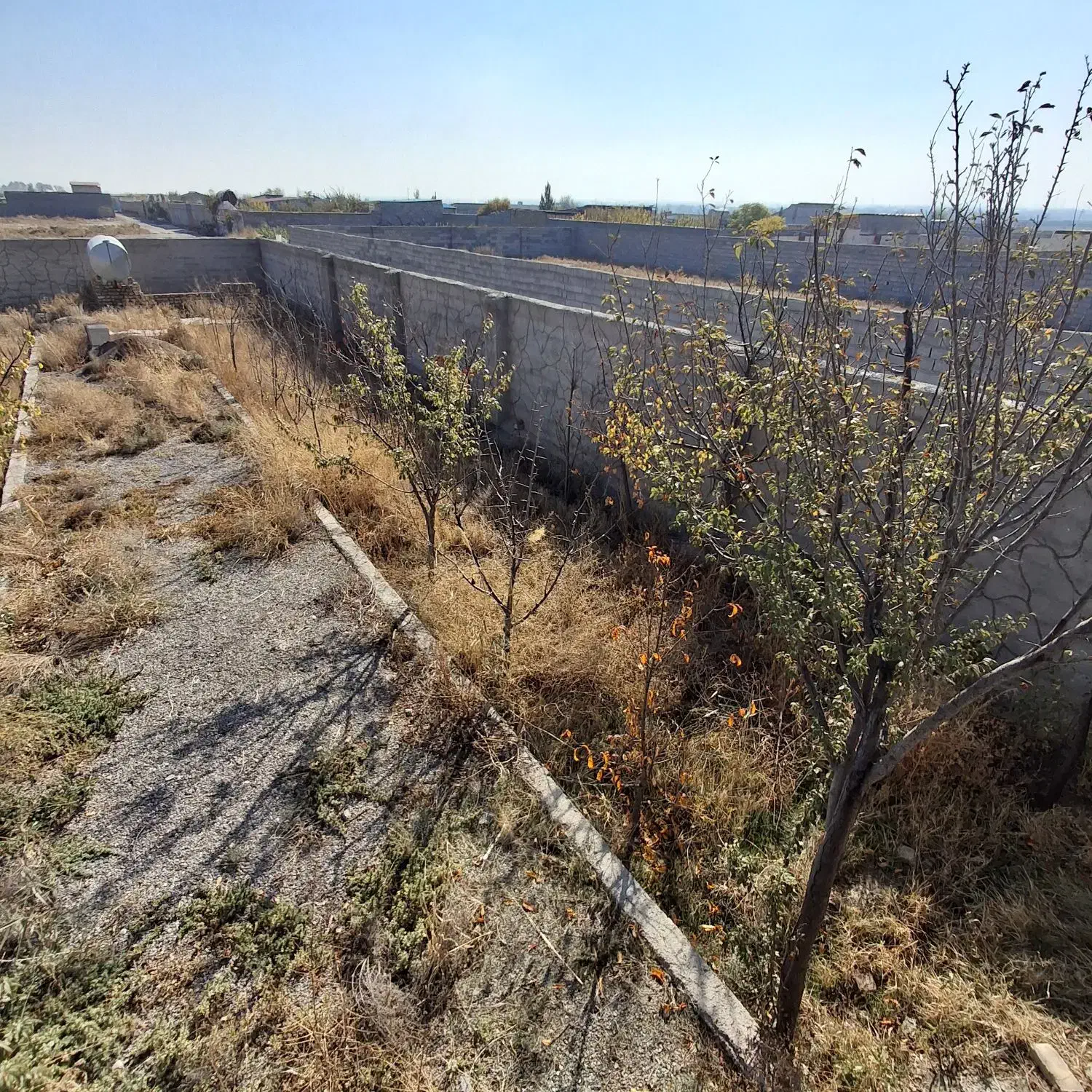 باغ واقع در روستای لقمانی خوشقواره