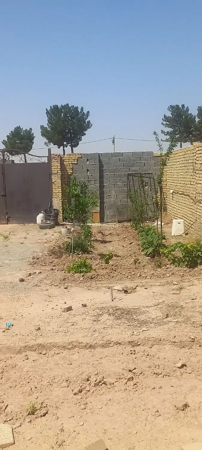 زمین باغی
