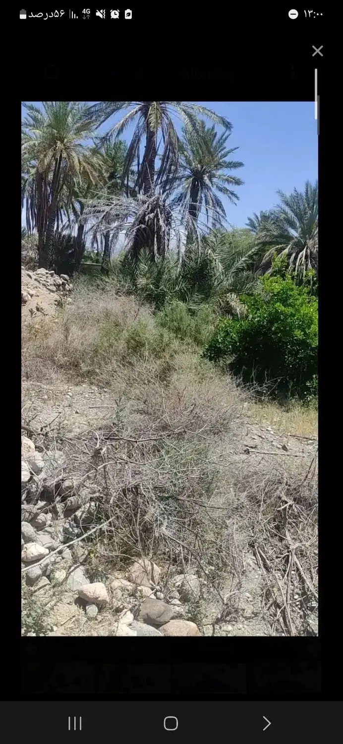 ۱۸قصب زمین فروشی در دولت اباد ساغری