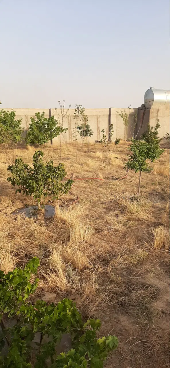 شاهنامه ۷۶