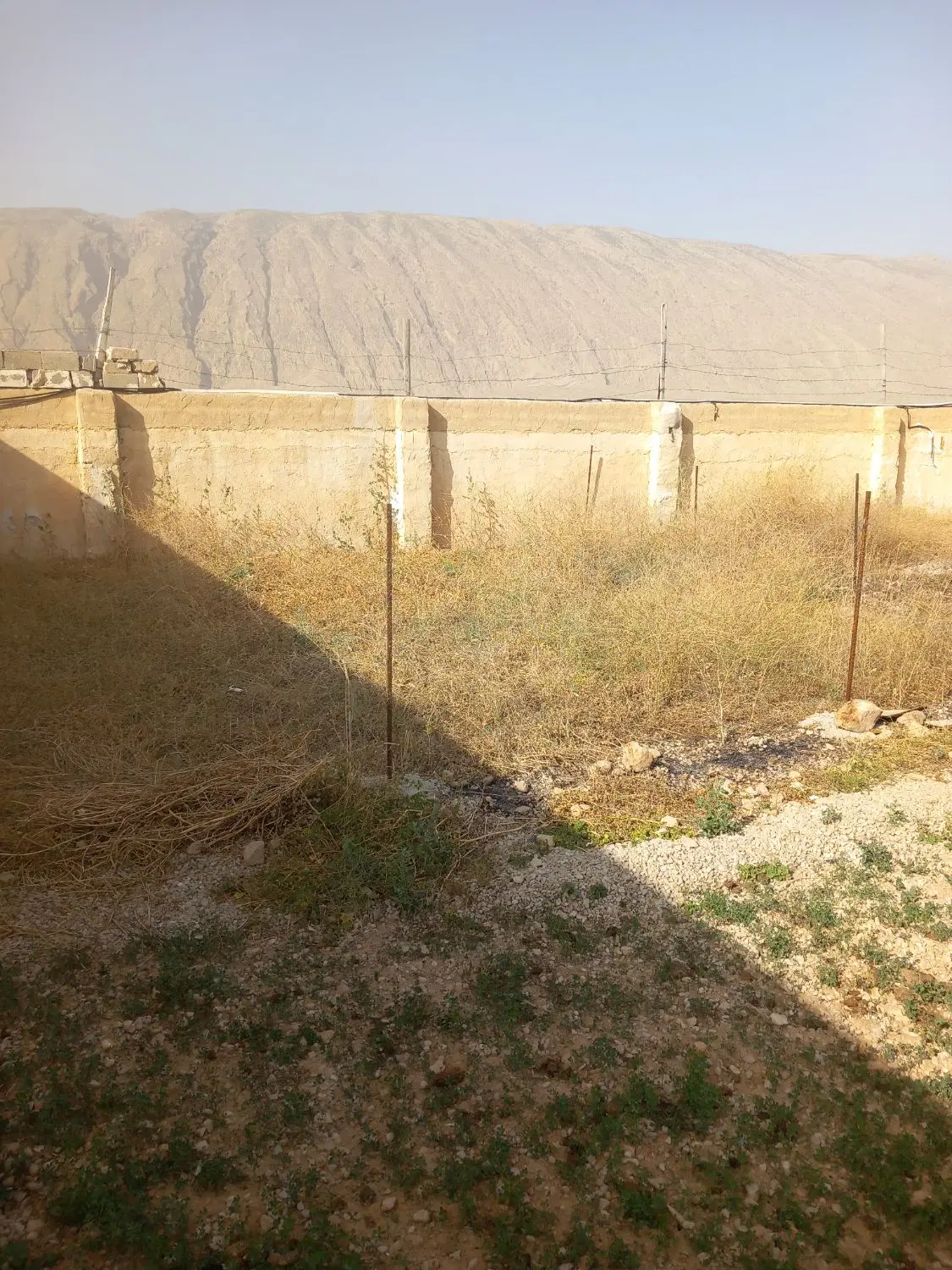 اجاره مرغداری یا گله دونی