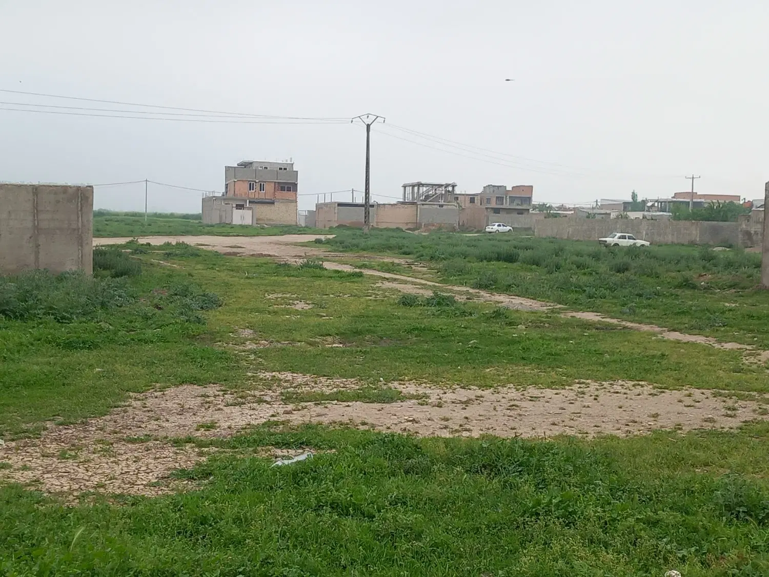 زمین