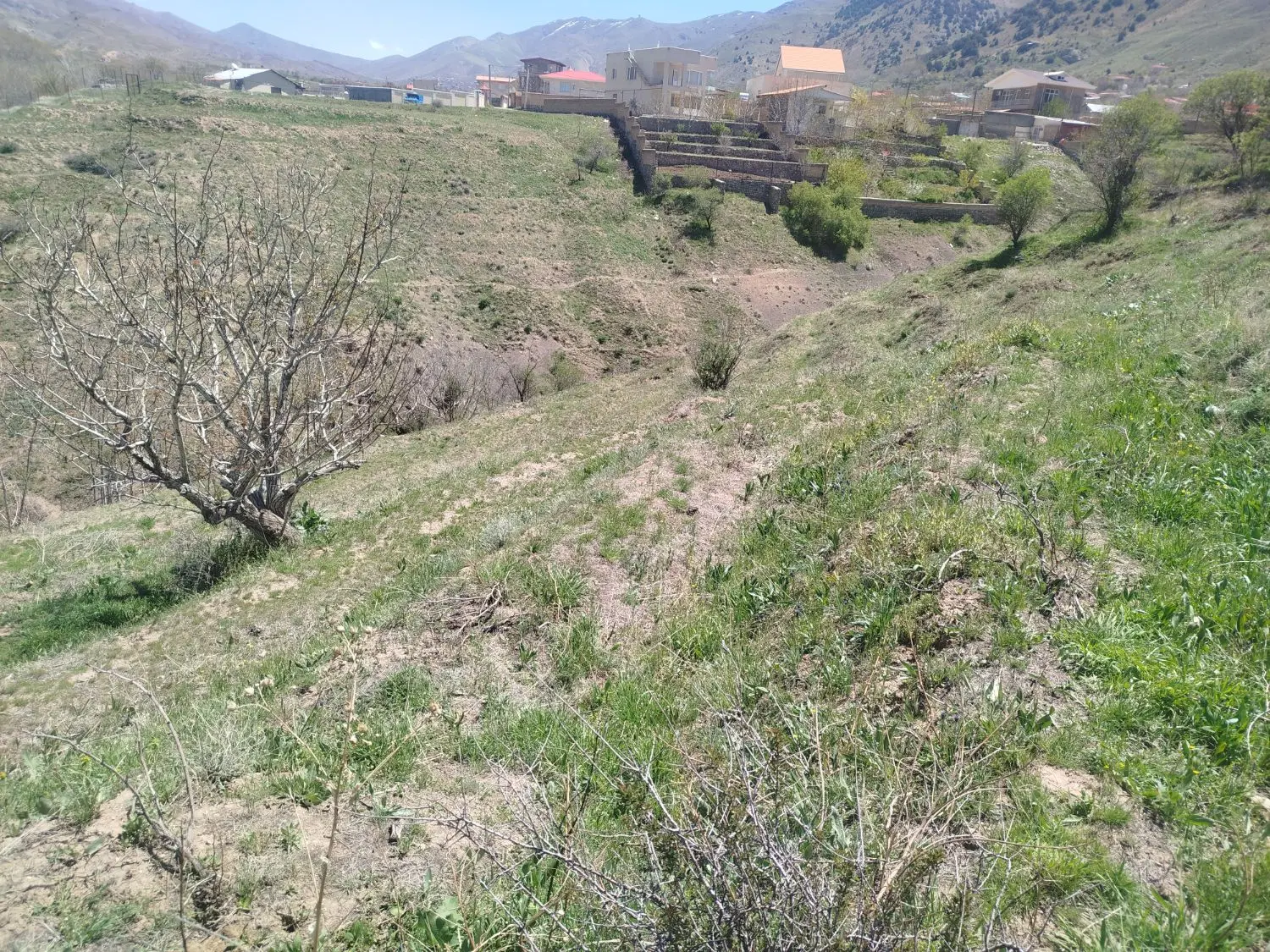 زمین دوبر داخل بافت