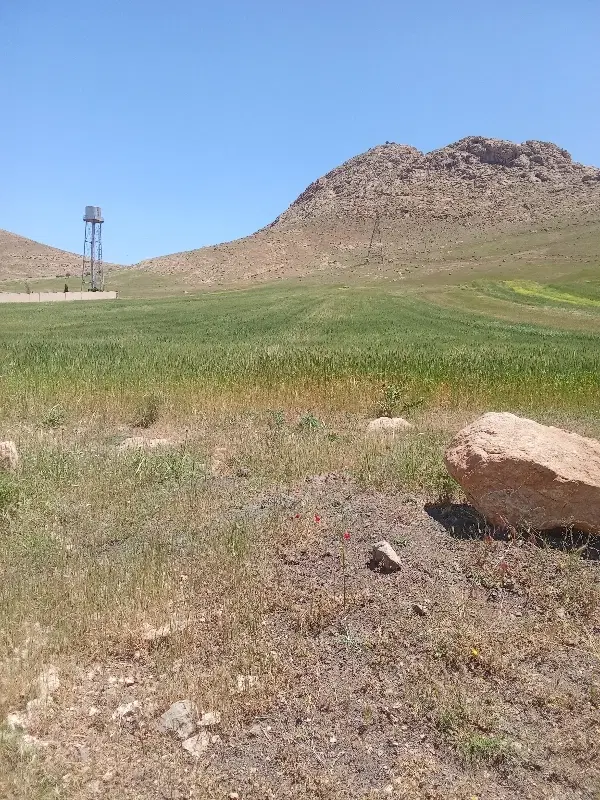 زمین کشاوری مناسب باغ و ساخت