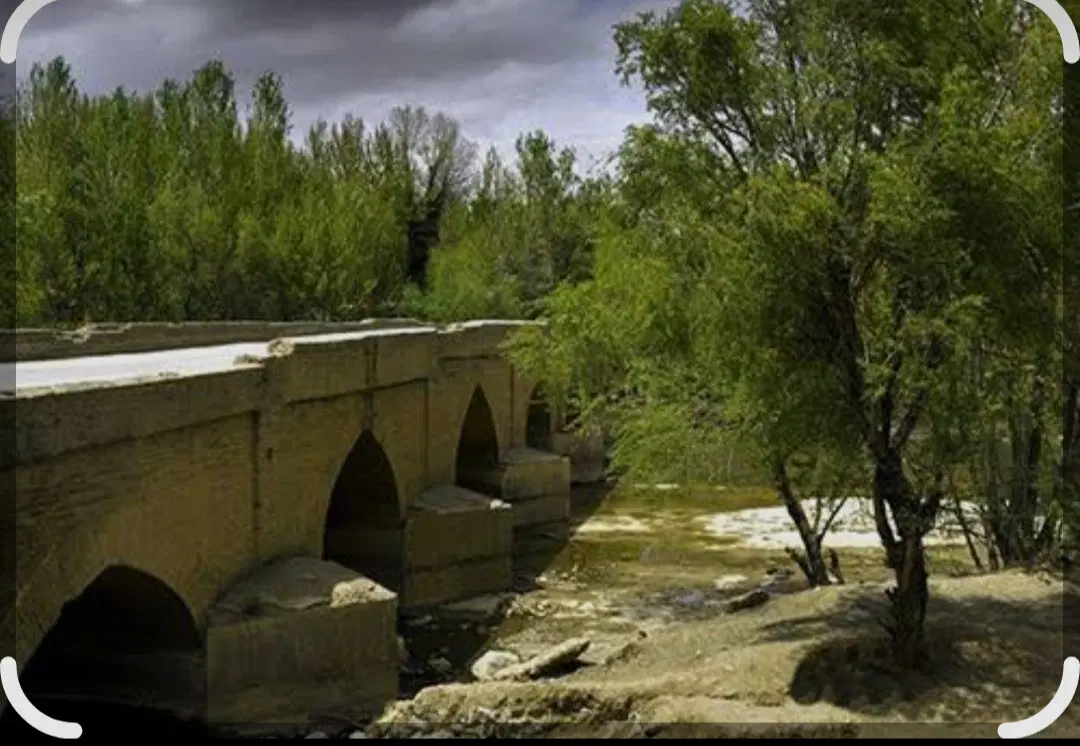 فروش زمین در نزدیکی باغ بهادران