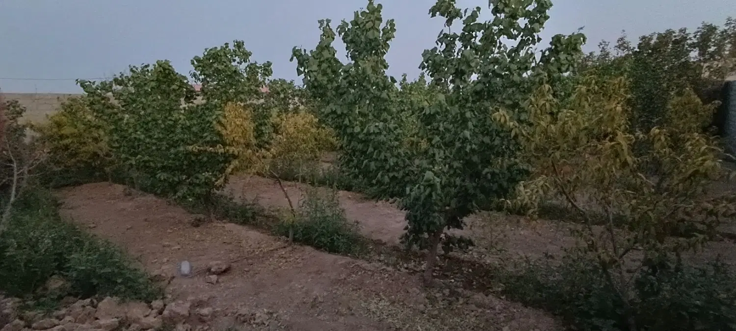 فروش باغ ویلا در قلعه سفید