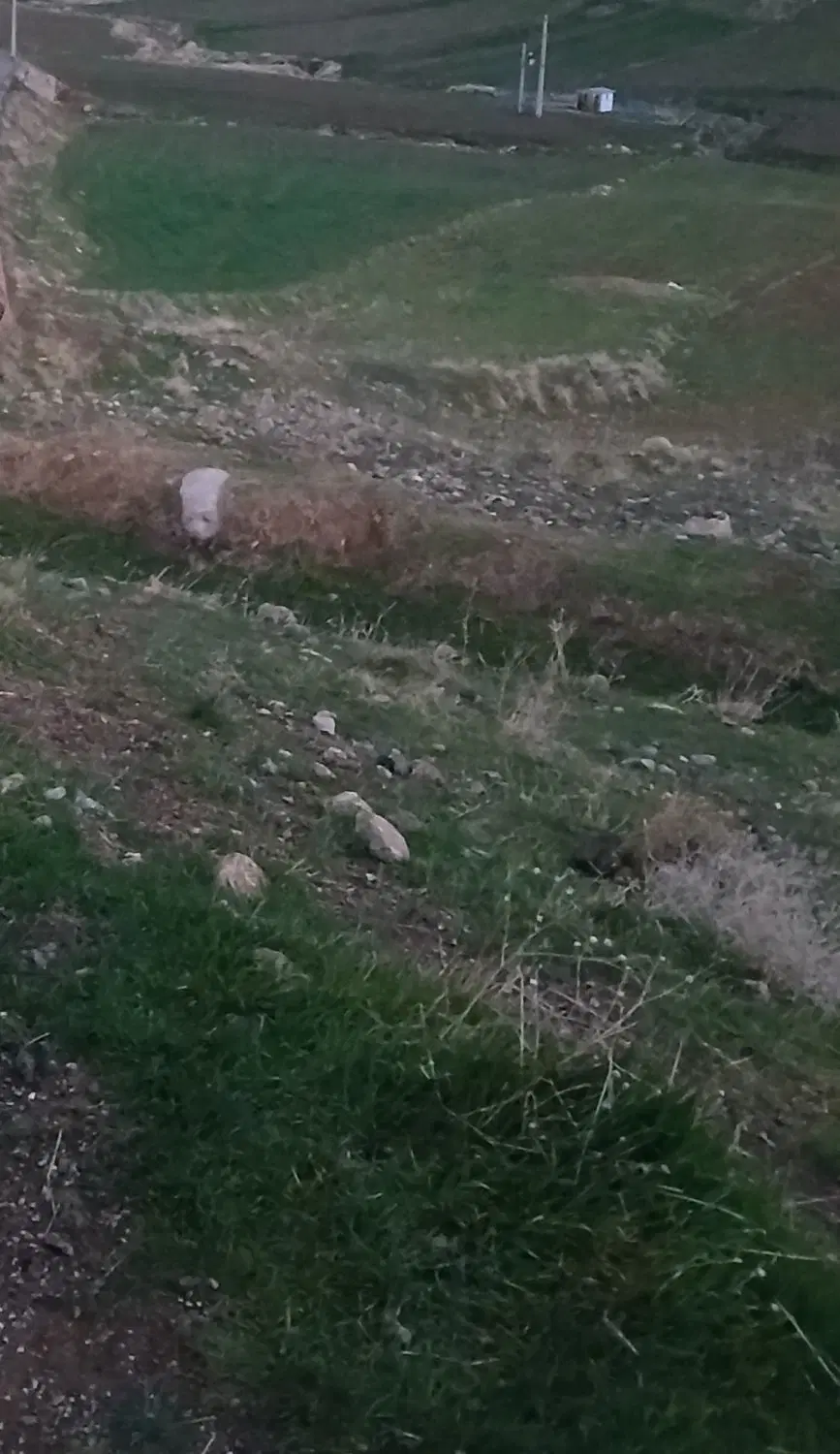 ۲۰۰متر زمین صنعتی
