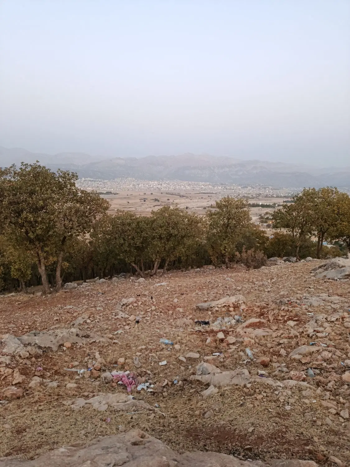 زمین ۲۳۷متری گوشه درون طرح