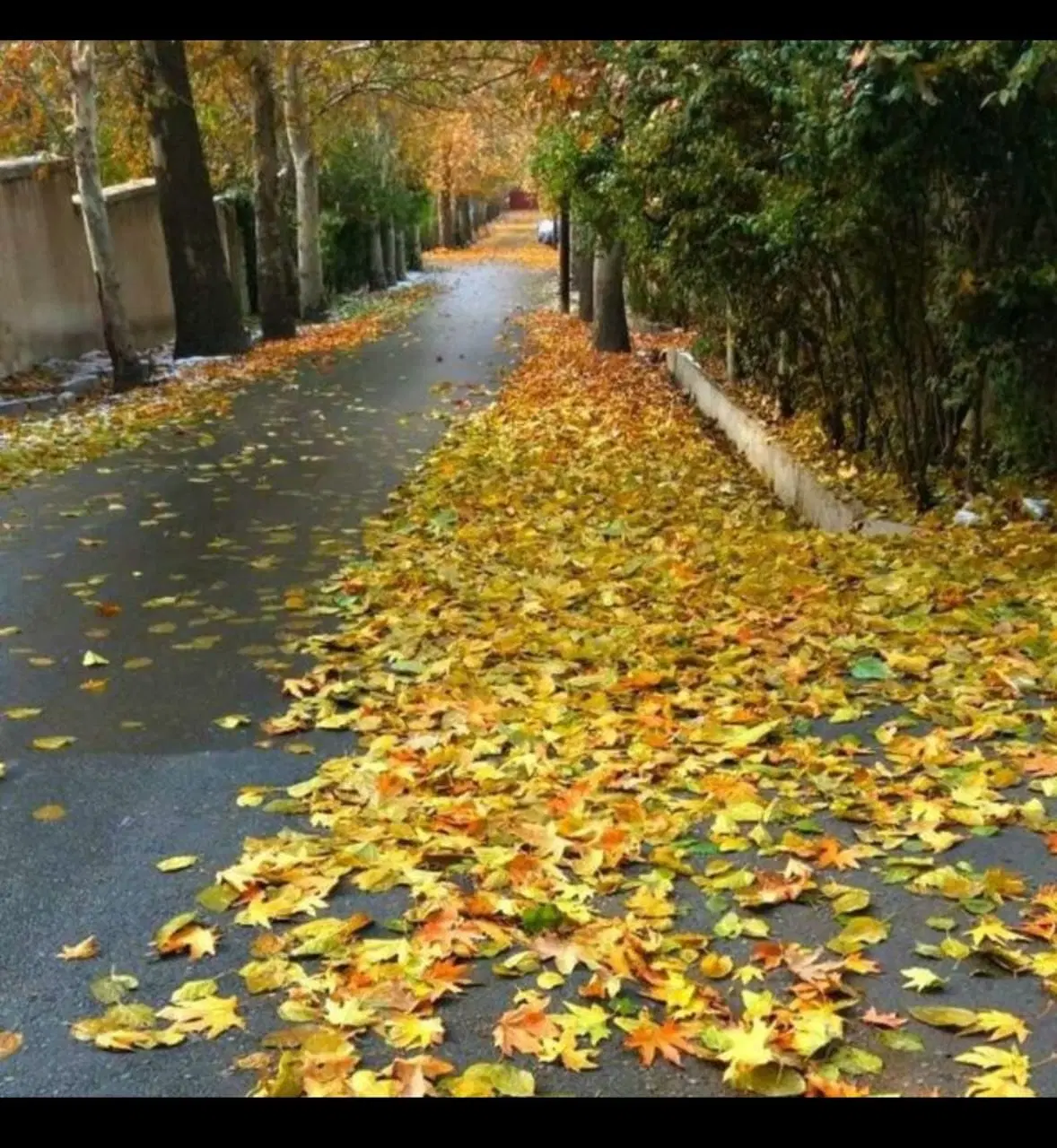 خانه ویلایی