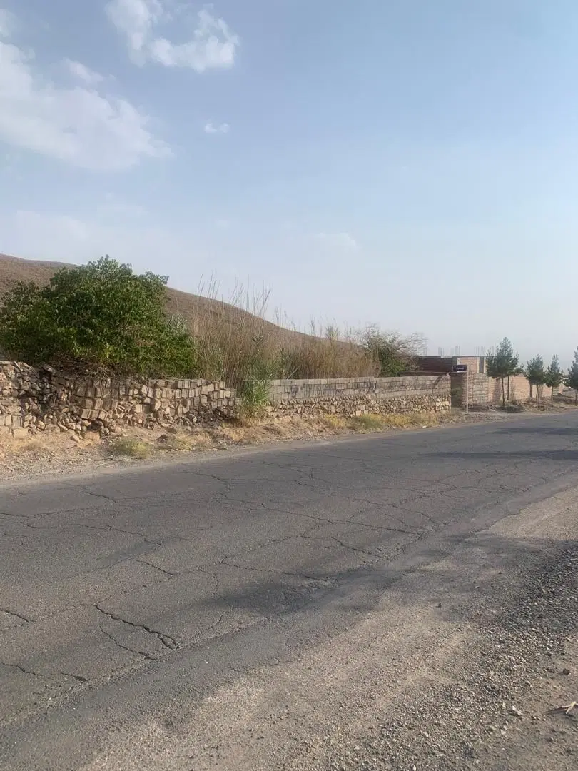 24 قصب زمین ریحان شهر زرند