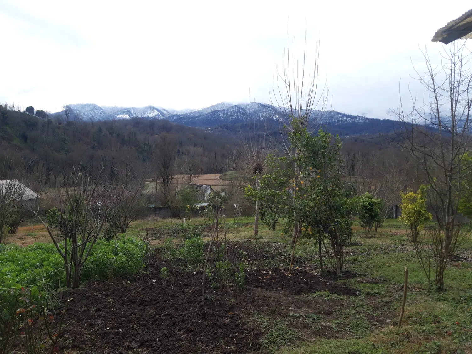 زمین مسکونی در روستای لاهیجان