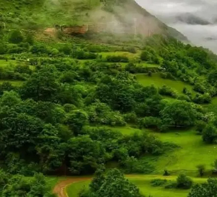 زمین دم خیابان