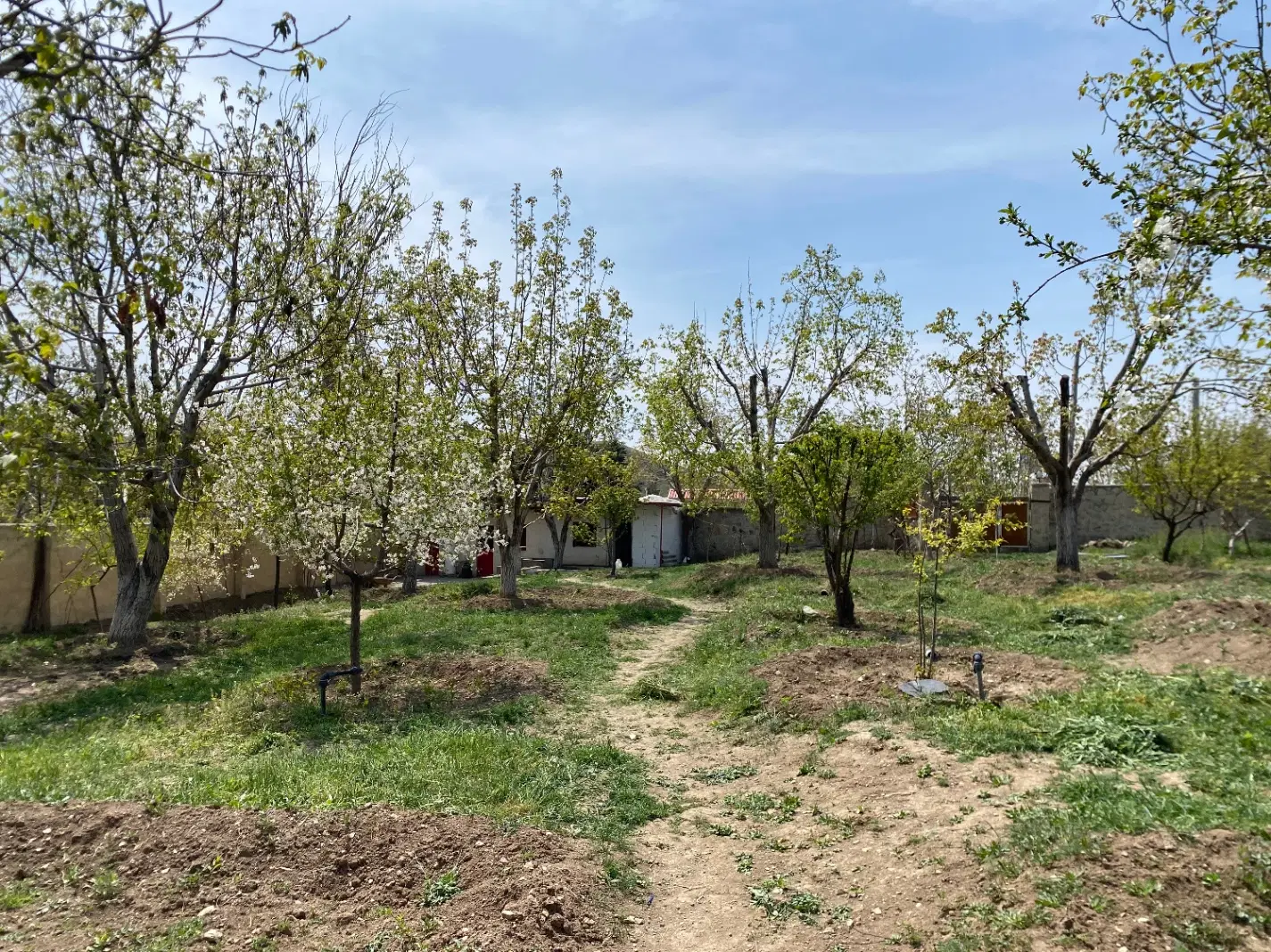 فروش باغ کرشت صنعتکاران