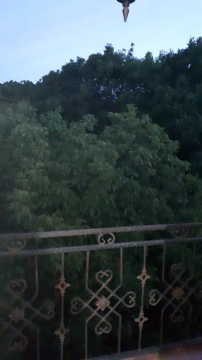 اجاره واحد مسکونی