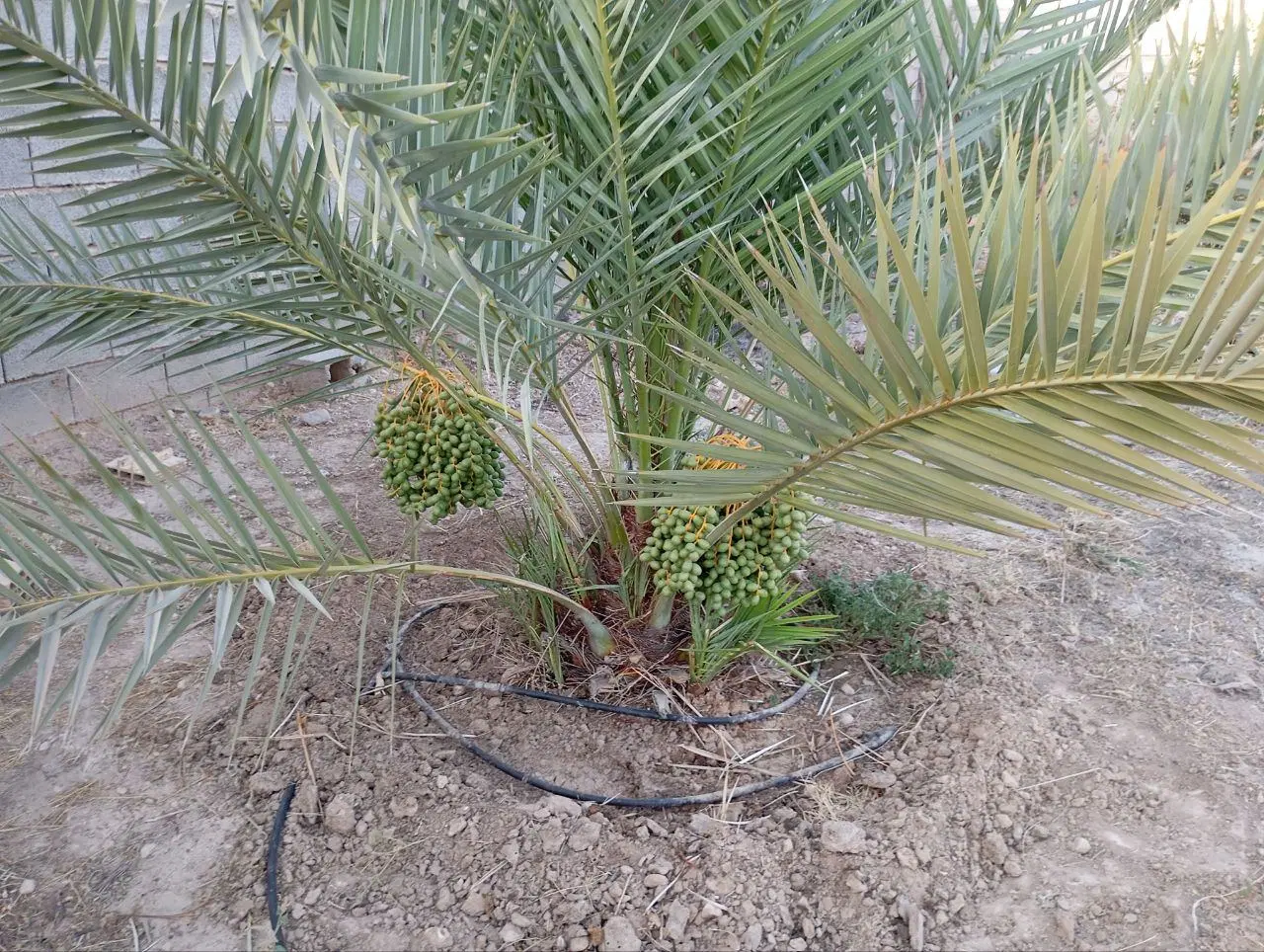 فروش زمین *توافقی*