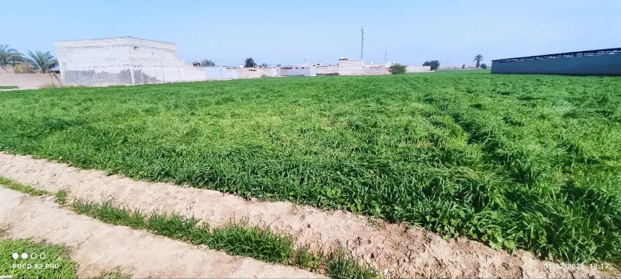 زمین کشاورزی قابلیت تغییر به مسکونی