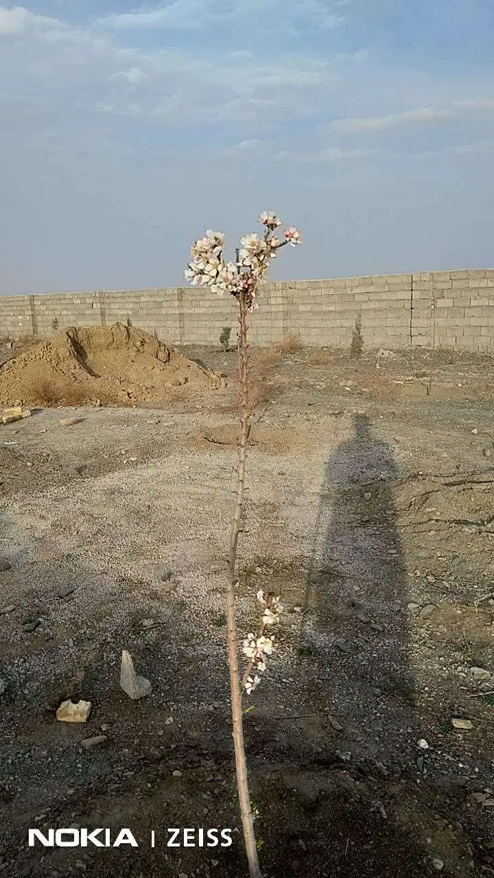 نماز ۱_۲۳ و نماز ۱_۲۱