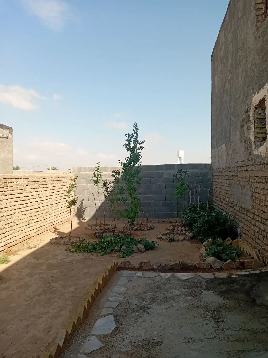 زمین ۶۰متری