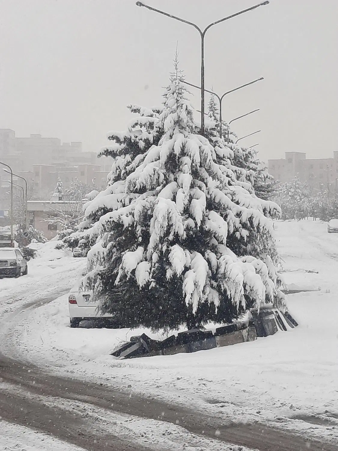 فاز دو دریایی