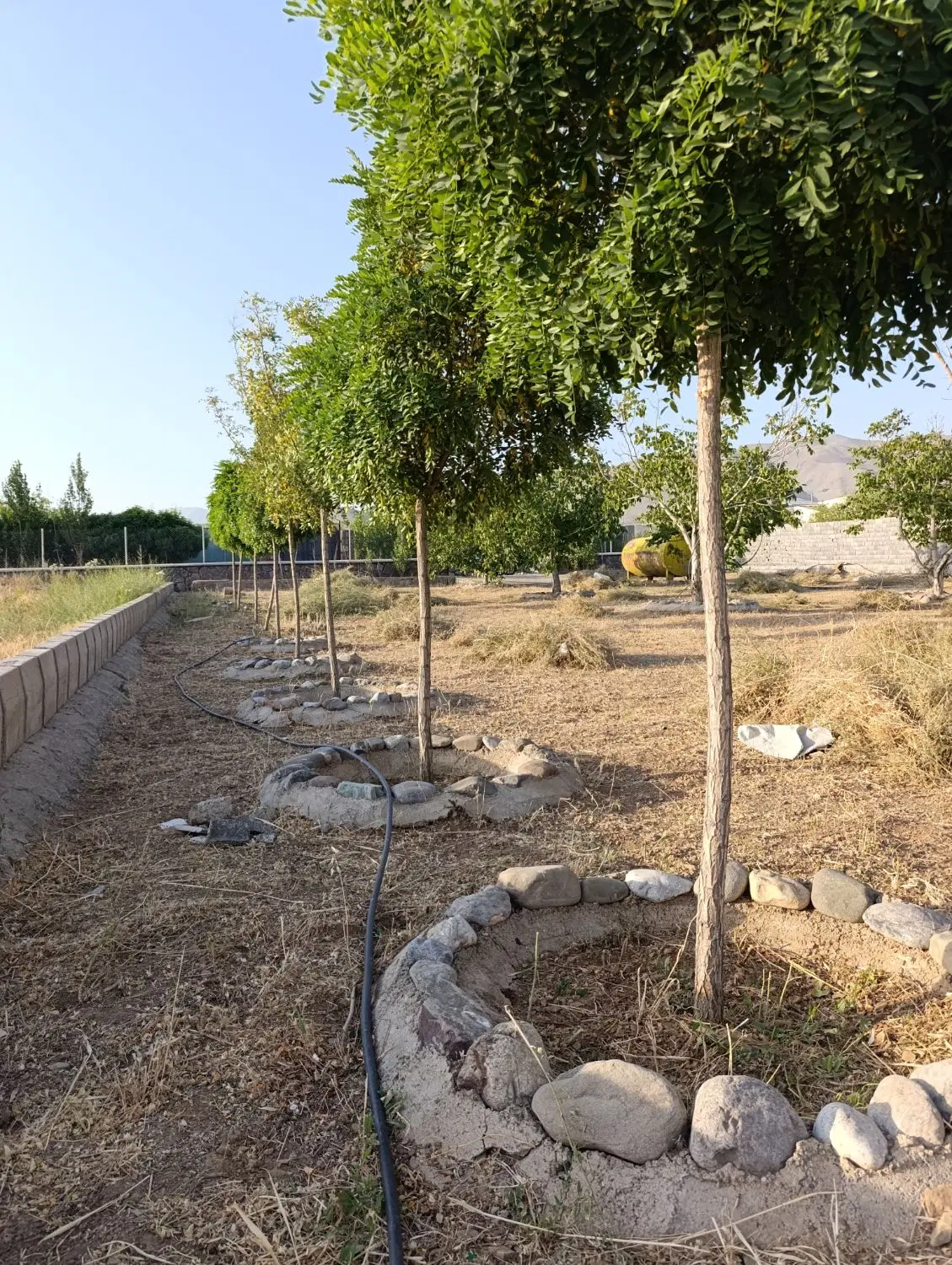 قواره ۴۰۰ متری در لوکیشن زیبای چنار_دماوند
