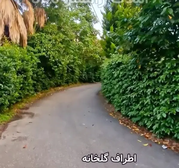 زمین مسکونی ۸۸۹ متر