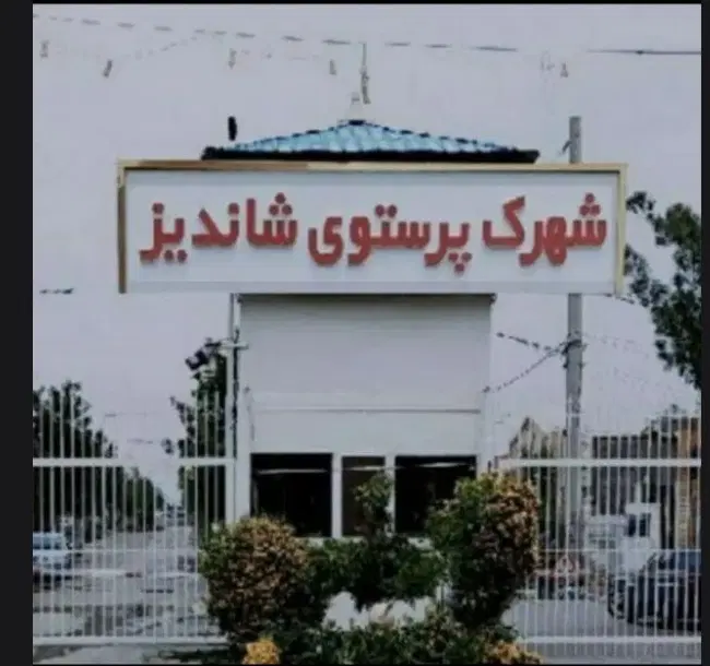 زمین شهرک پرستو شاندیز