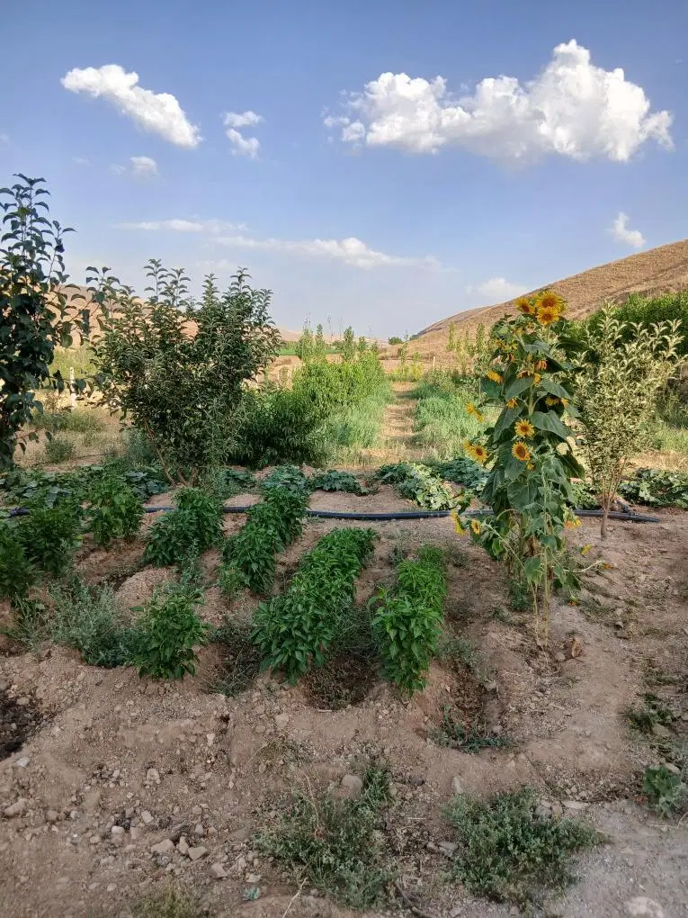 باغ