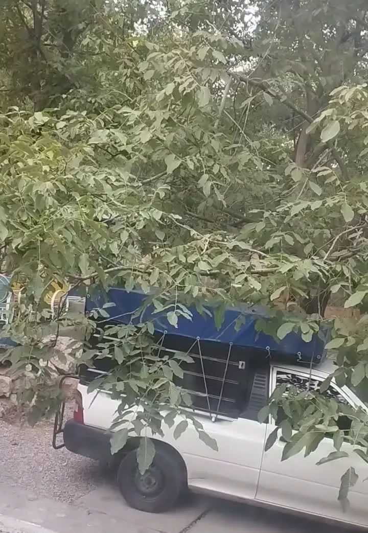 باغ آبشار