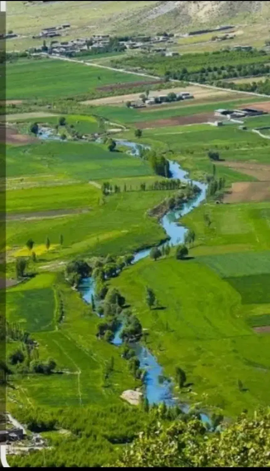 تجاری مسکونی