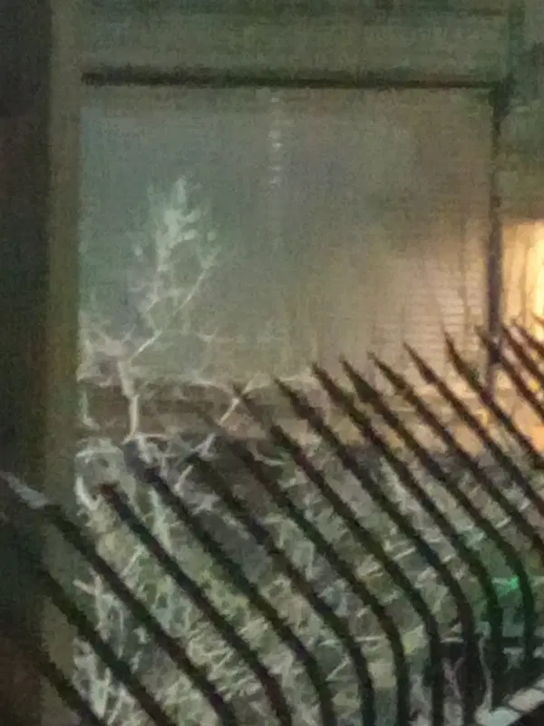 مغازه بر رحیمی