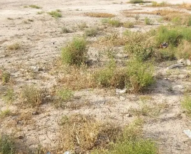 زمین ۱۰۰ متری بیدگنه ملارد