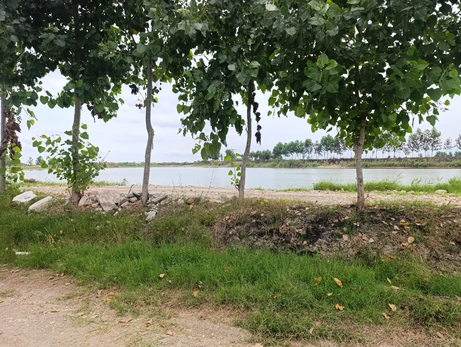 باغ ویلای آرام و آرامش بخش