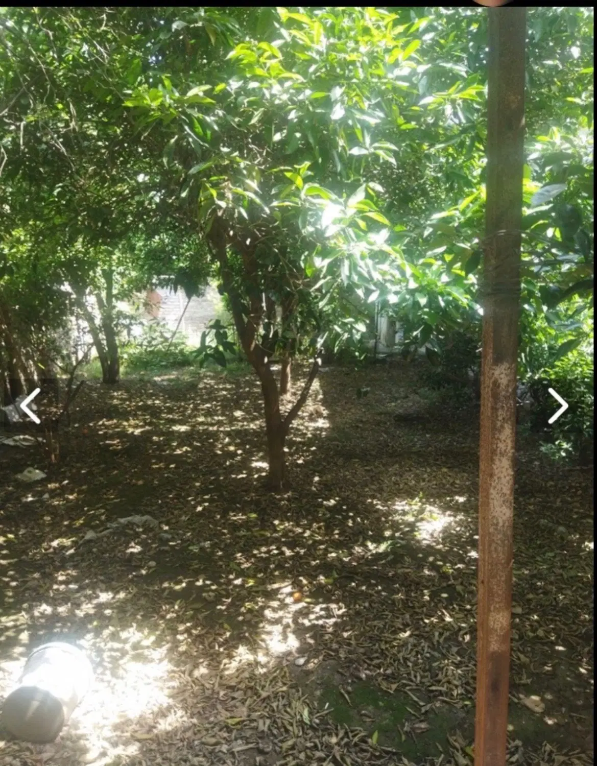 خانه ویلایی در قلب روستای افراکتی