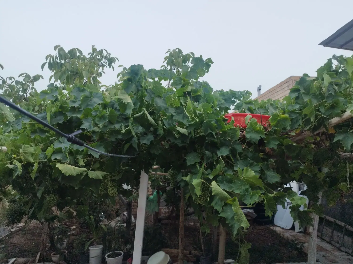 ویلایی رباط سرخ