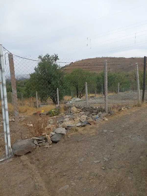 زمین باغی حیدره باصفری