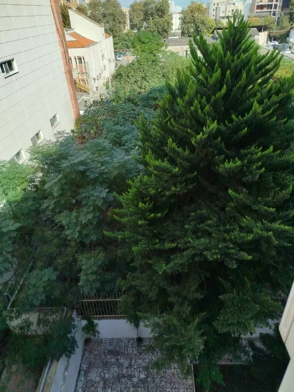 تکه زمینی واقع در پایین کلا