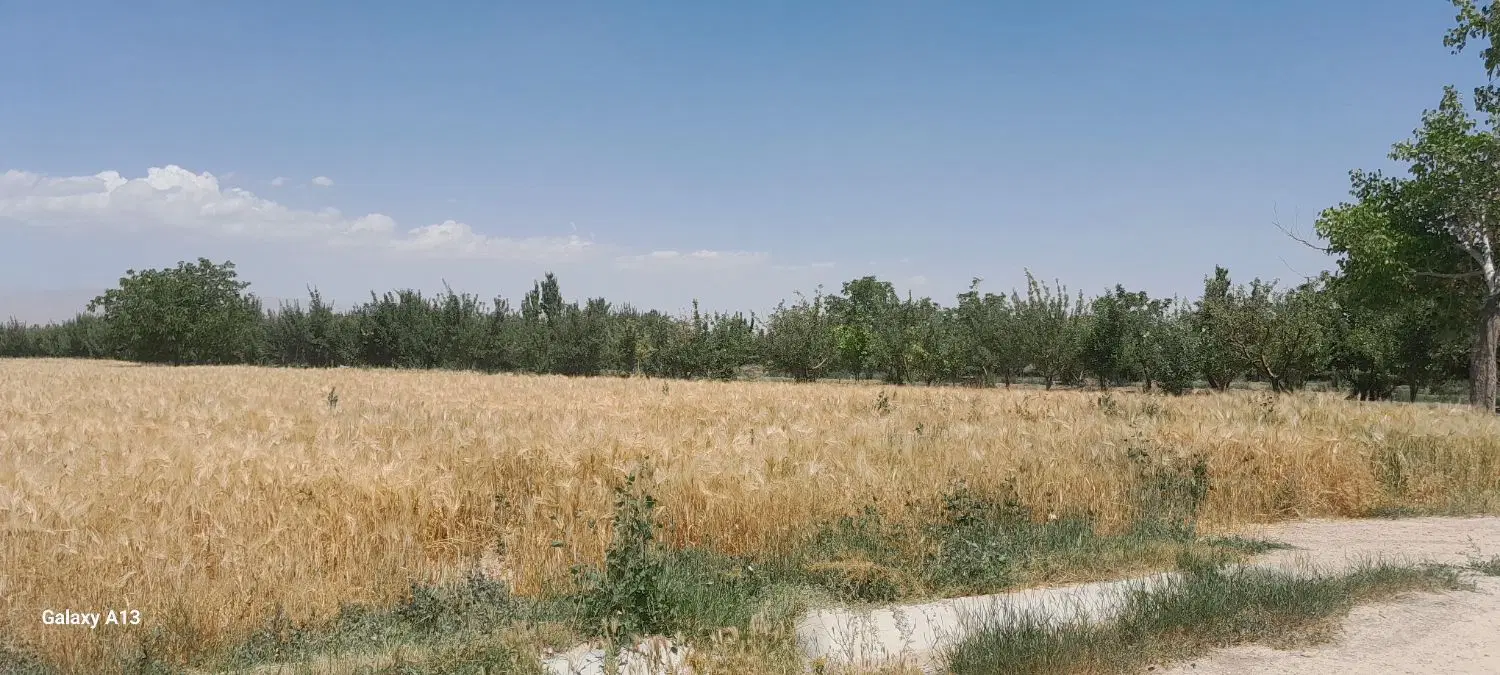 زمین ۵۰۰ متر  چناران نزدید بافت روستا
