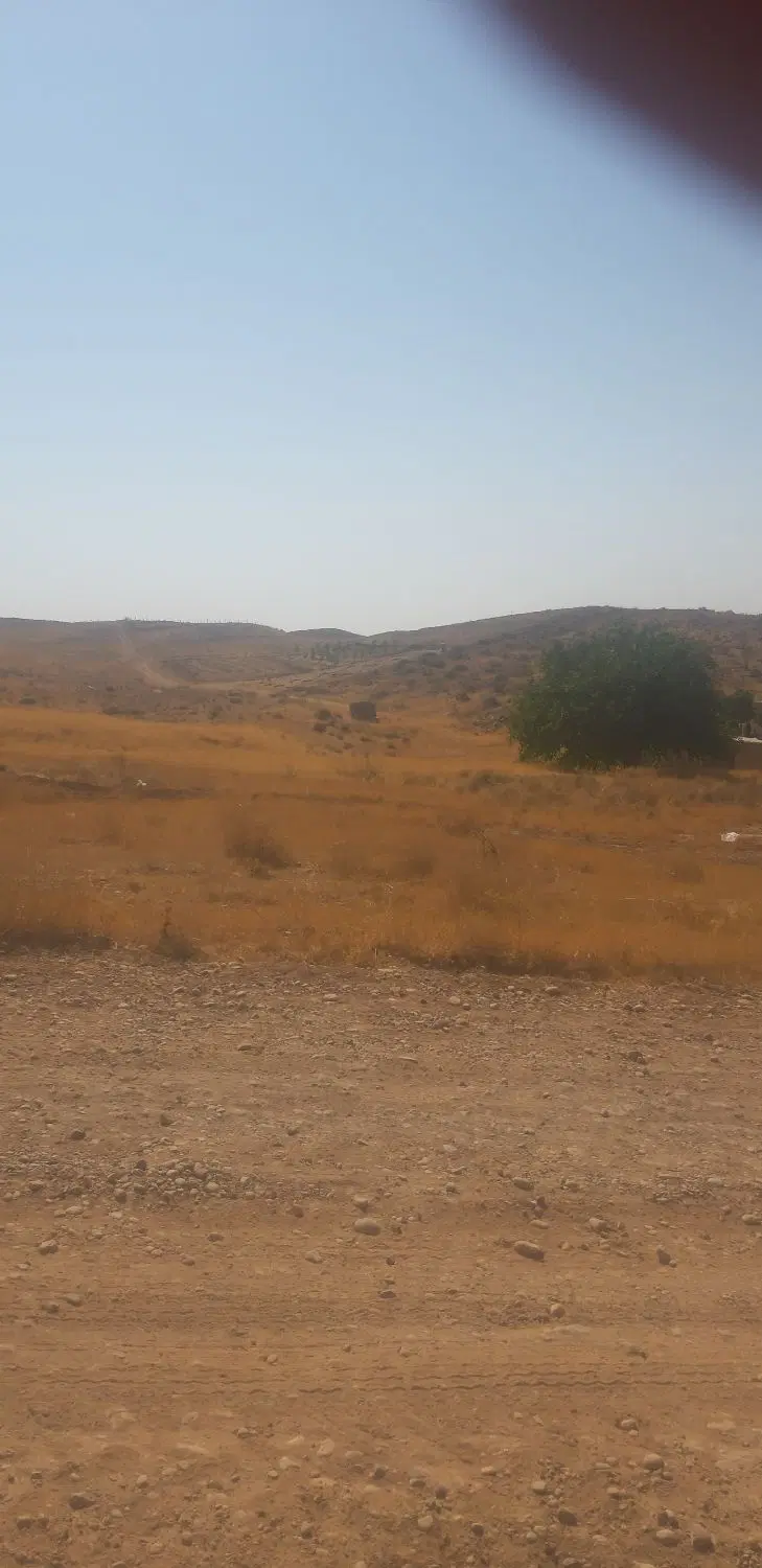 زمین باغ شهری قره چمن