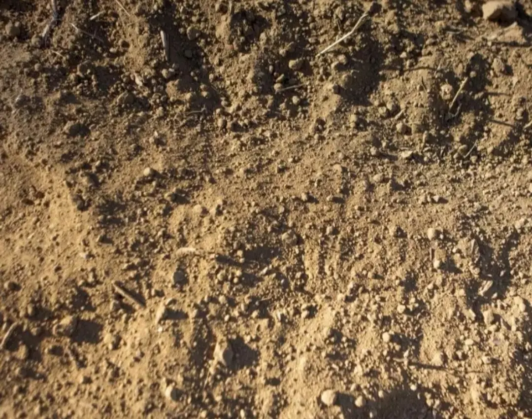 زمین مسکونی روستای غلامعلی کمالوند