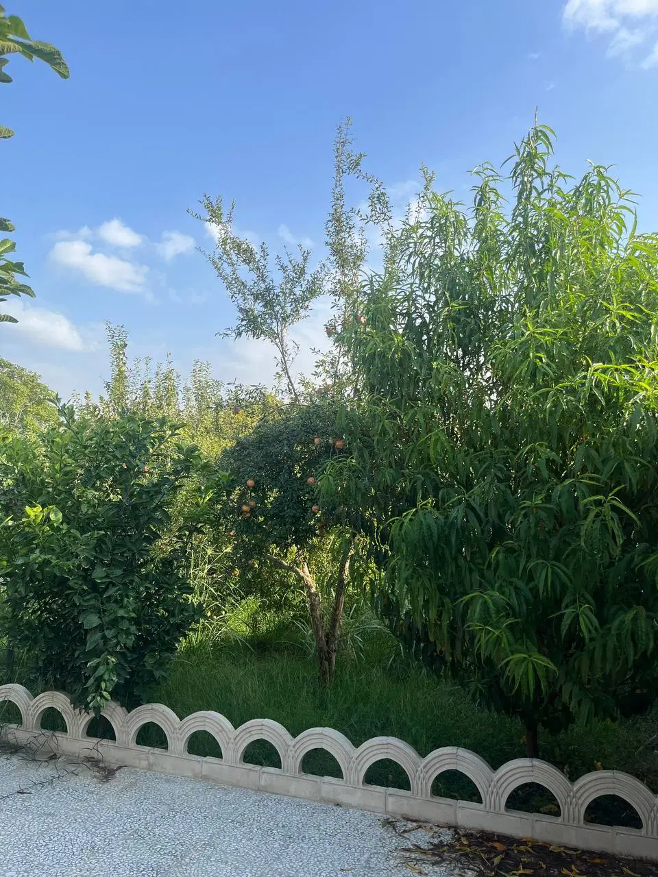 خانه باغ ۴۰۰ متری اسپومحله گرگان