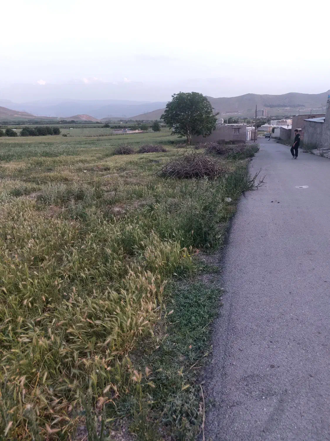 زمین مسکونی کمالوند