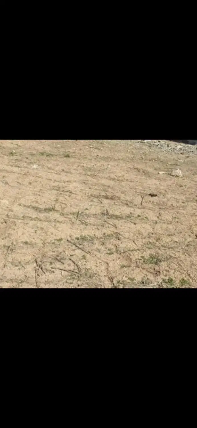 زمین دونبش در روستای سلیمانیه محمودآباد شیخا