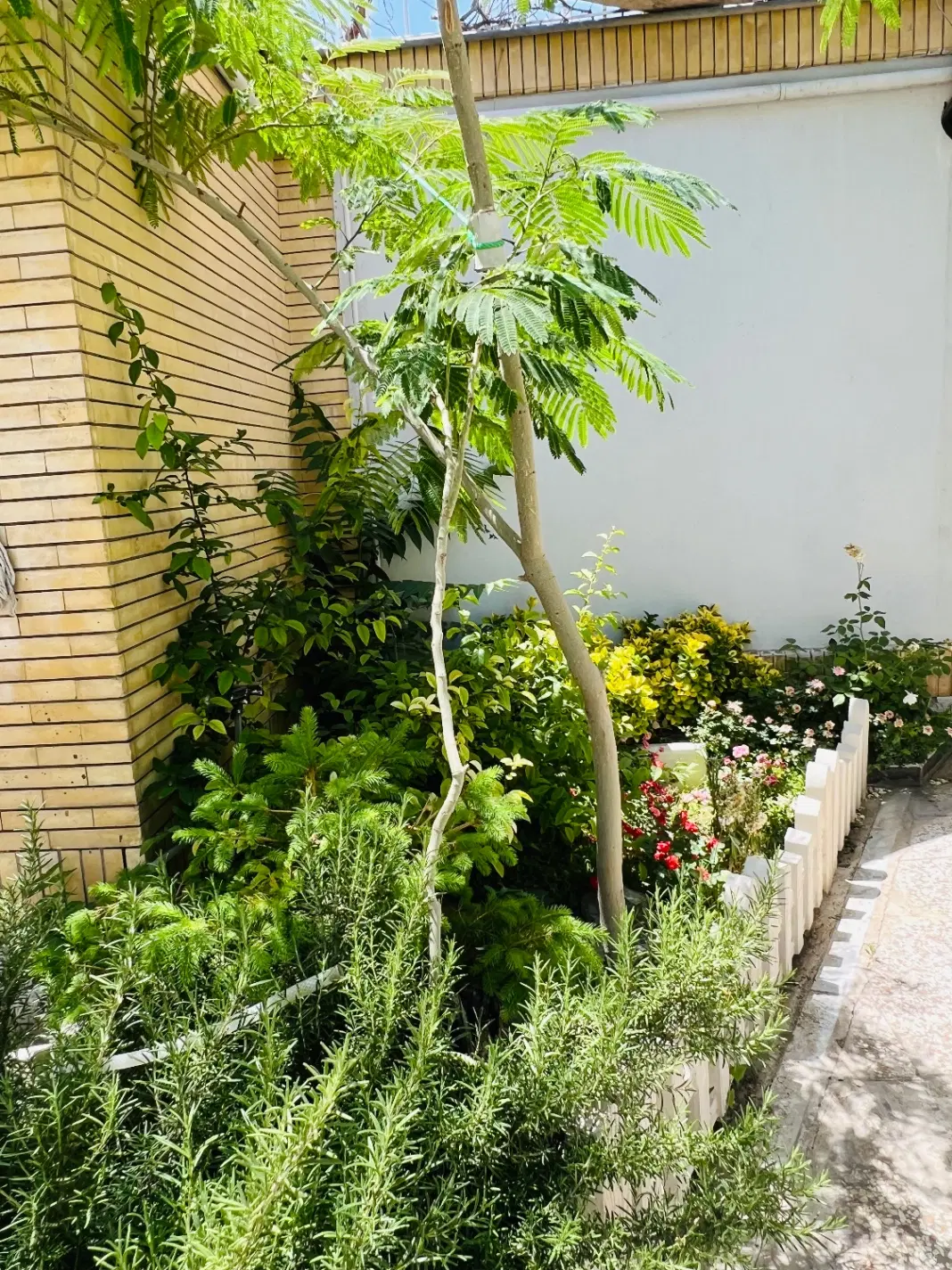 فرصت ویژه برای همکاری در سالن زیبایی