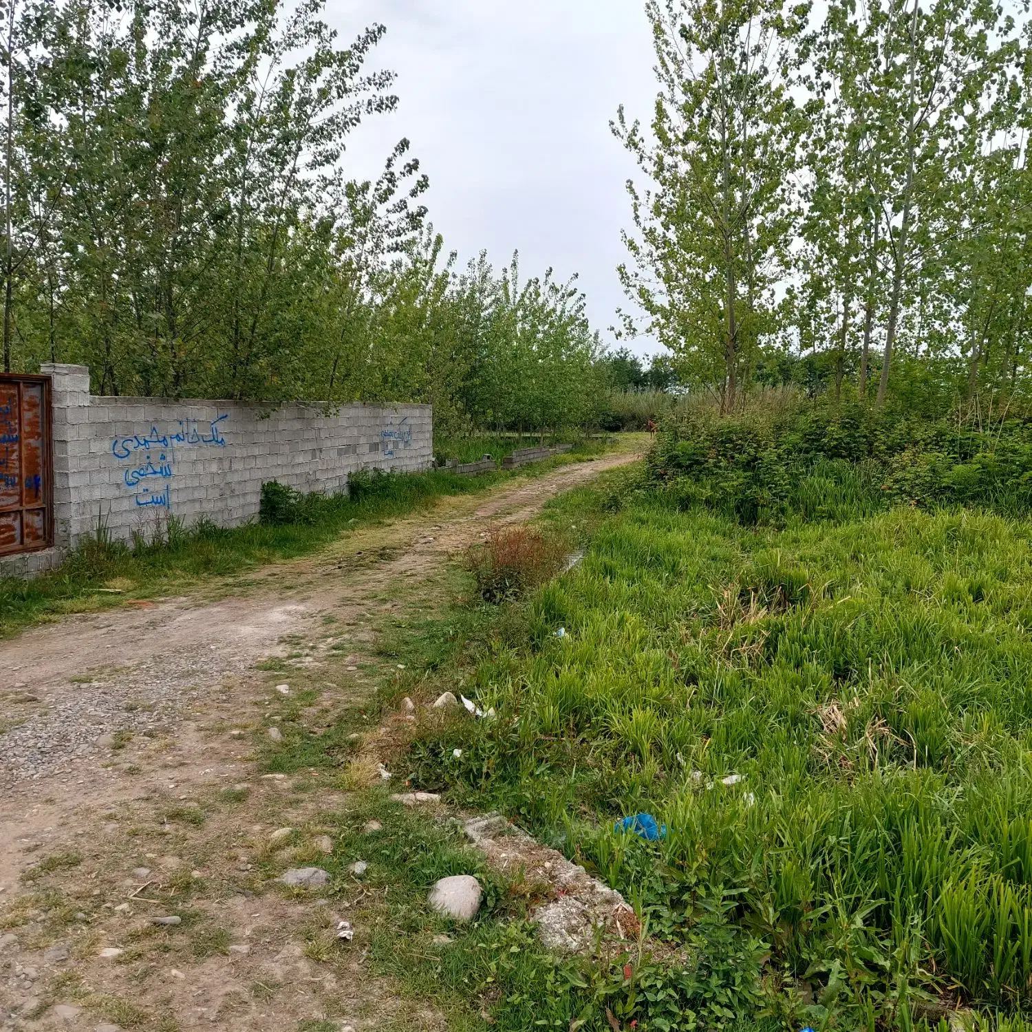 زمین مسکونی شکاری داخل زیباکنار