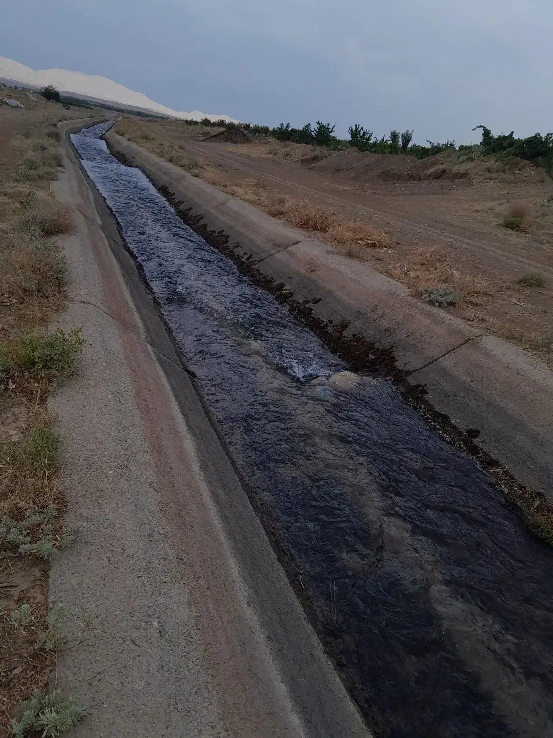 ۶۵۰متر زمین تاکستان