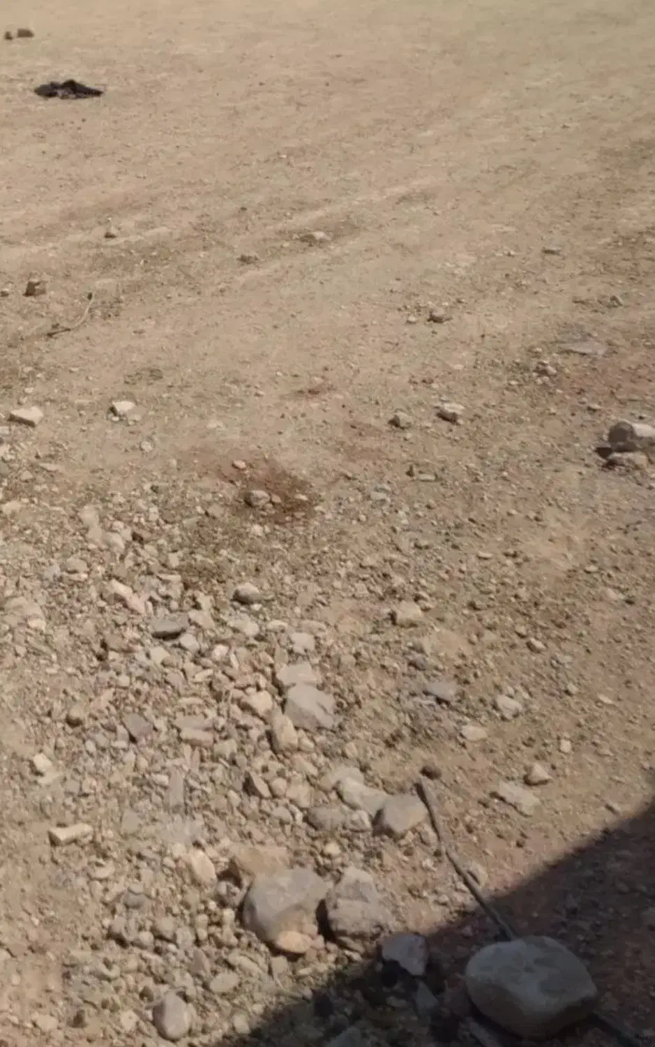 زمین باغشهری چاهسرخ