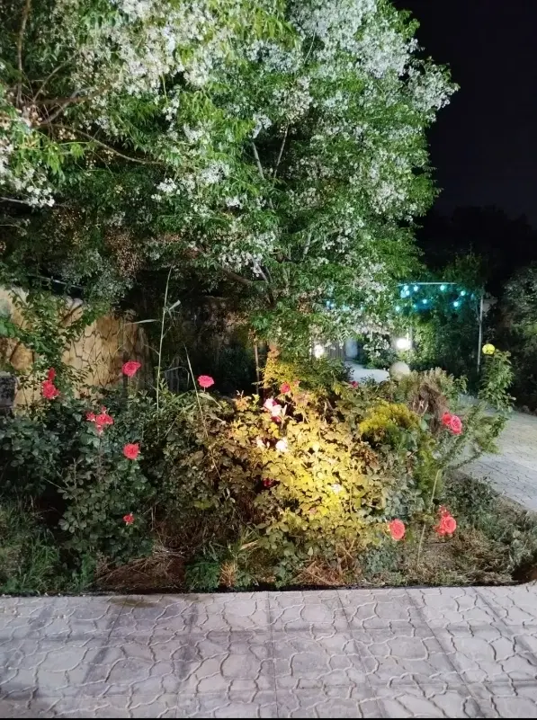 باغچه ۵۰۷ متر دارای انشعابات قانونی