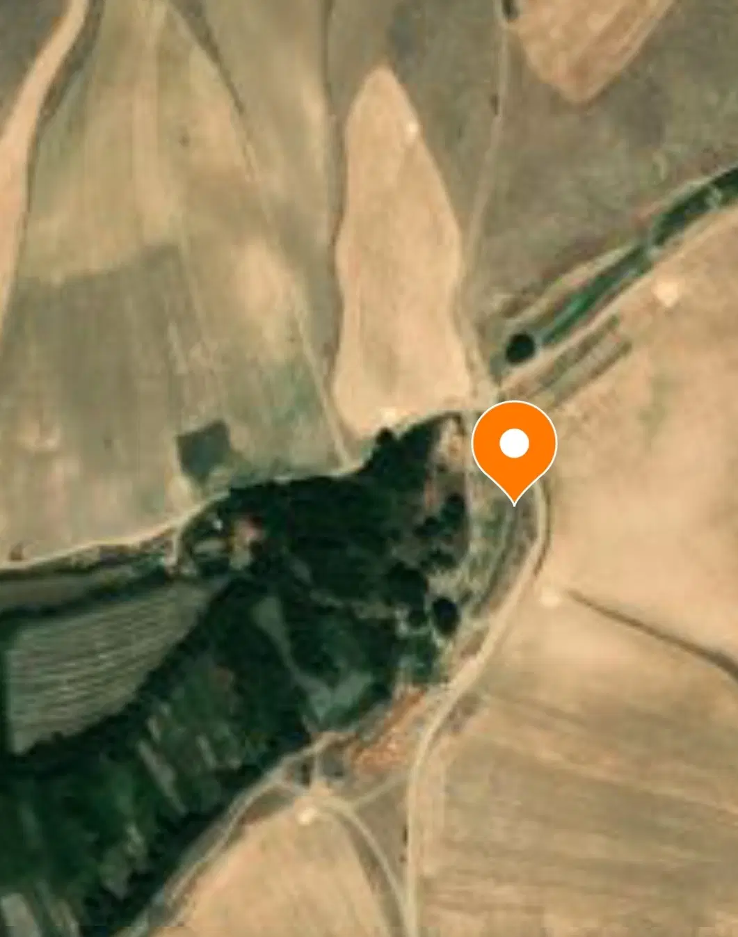 هزار متری باغ انگور